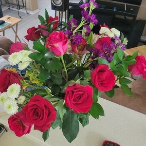 Meet your Posher, Liz